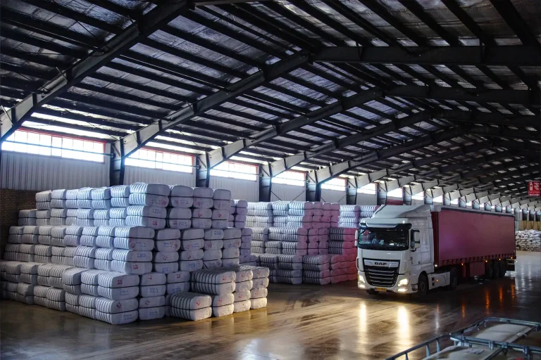 Shiva-Polyester-Fibers_2.webp
