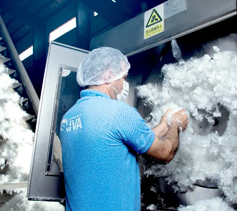 Shiva Hygienic Fibers