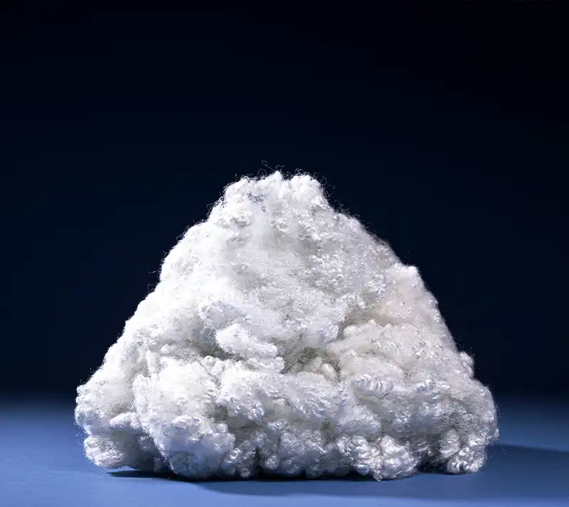 Shiva Polyester Fibers