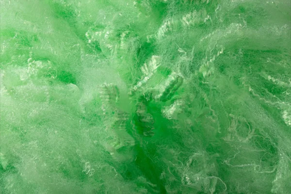 Hygienic Solid Fibers 1